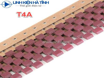 Cầu chì vuông 250V cầu chì T4A 4A Cầu chì vuông 250V cầu chì T4A 4A